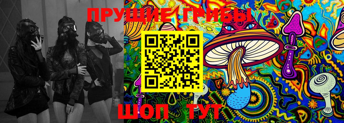 Галлюциногенные грибы Psilocybe Обь